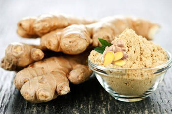 Dehydrated Ginger Powder - Shree Sai Export - India